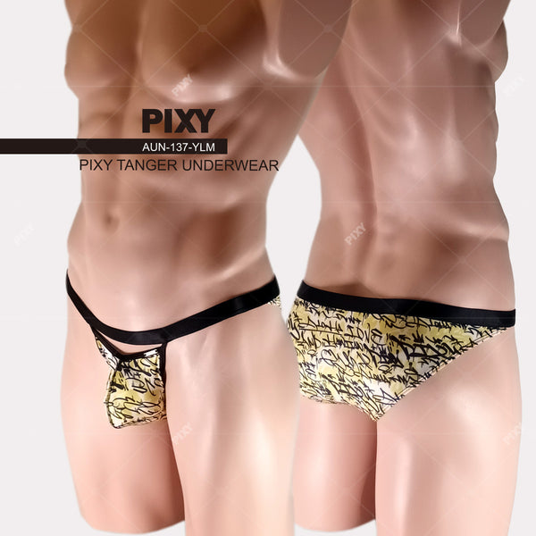 PIXY BODY MAX  BIKINI UNDERWEAR