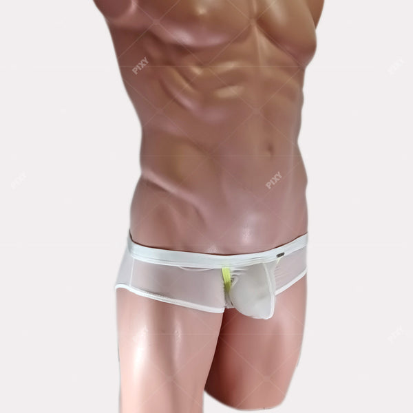 PIXY POUCH BRIEFS UNDERWEAR- SHEER MAX