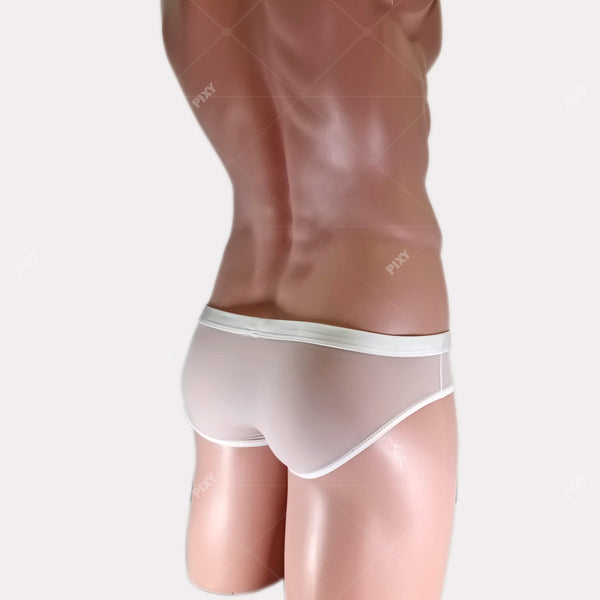 PIXY POUCH BRIEFS UNDERWEAR- SHEER MAX