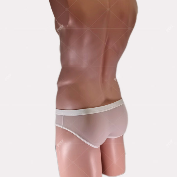 PIXY POUCH BRIEFS UNDERWEAR- SHEER MAX