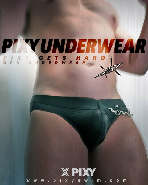 PIXY Y- CUT BIKINI UNDERWEAR-HELL LOVE