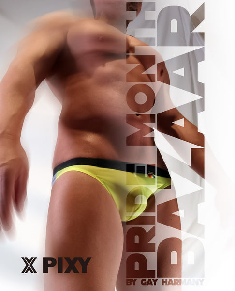 PIXY RAINBOW FLAG BIKINI UNDERWEAR-PRIDE MONTH EDITION