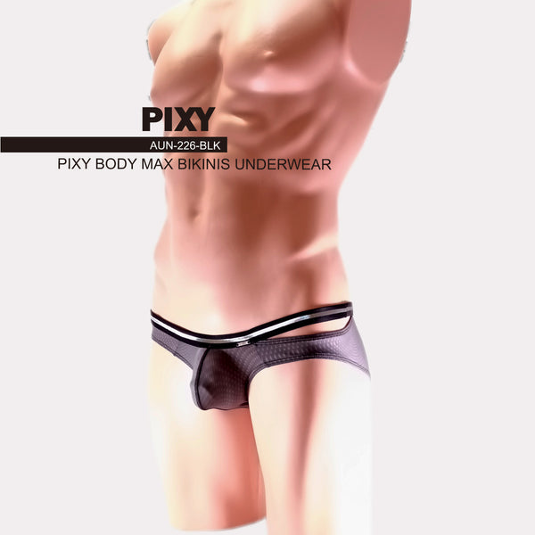 PIXY POUCH BIKINIS UNDERWEAR- SHEER MAX