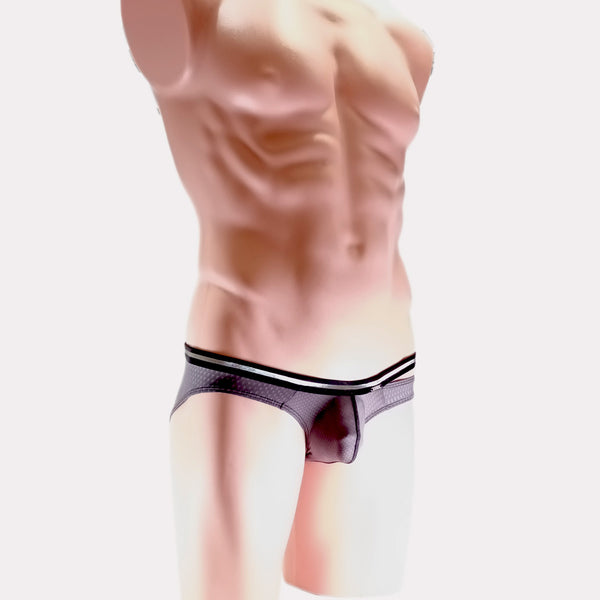 PIXY POUCH BIKINIS UNDERWEAR- SHEER MAX
