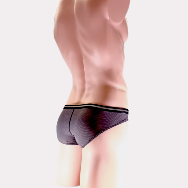 PIXY POUCH BIKINIS UNDERWEAR- SHEER MAX