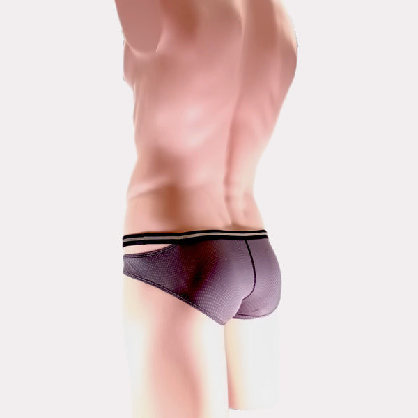 PIXY POUCH BIKINIS UNDERWEAR- SHEER MAX