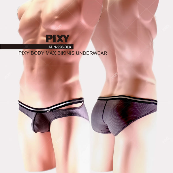 PIXY POUCH BIKINIS UNDERWEAR- SHEER MAX