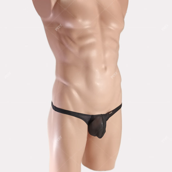 PIXY POUCH BIKINIS UNDERWEAR- SHEER MAX