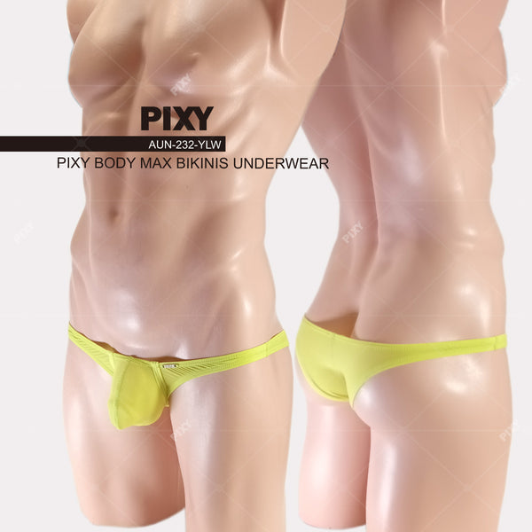 PIXY POUCH BIKINIS UNDERWEAR- SHEER MAX