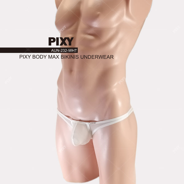 PIXY POUCH BIKINIS UNDERWEAR- SHEER MAX