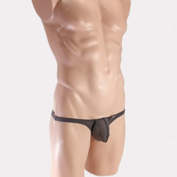 PIXY POUCH BIKINIS UNDERWEAR- SHEER MAX