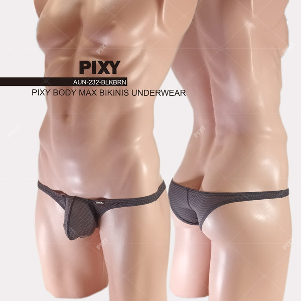 PIXY POUCH BIKINIS UNDERWEAR- SHEER MAX