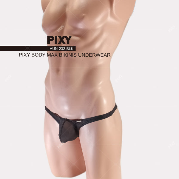 PIXY POUCH BIKINIS UNDERWEAR- SHEER MAX