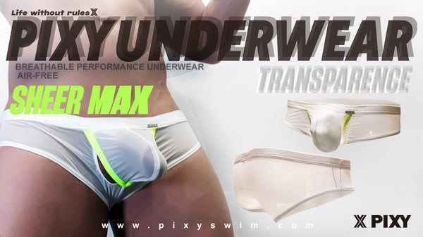 PIXY POUCH BRIEFS UNDERWEAR- SHEER MAX
