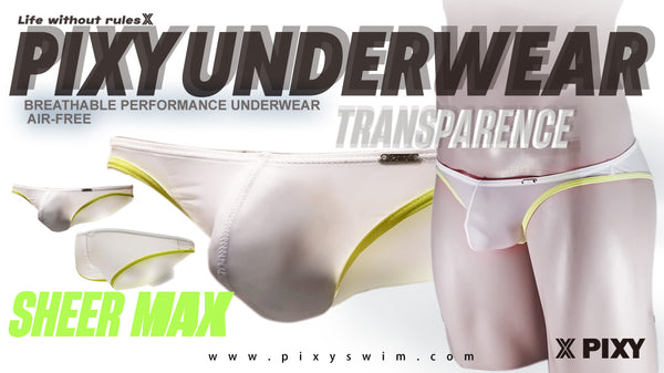 PIXY POUCH BIKINIS UNDERWEAR- SHEER MAX