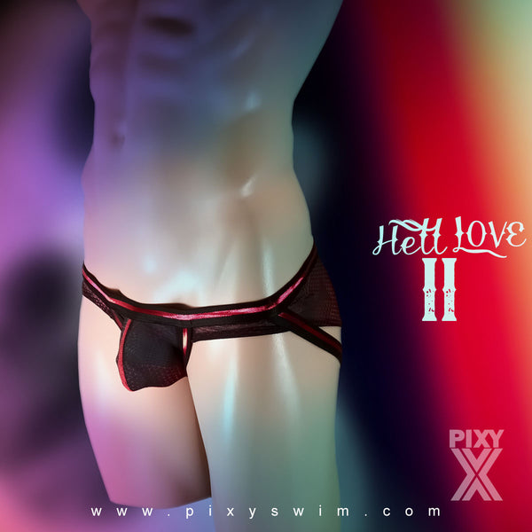 PIXY  MESH 2-IN-1 BIKINI UNDERWEAR- HELL LOVE 2