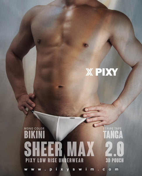 PIXY TANGAS UNDERWEAR- BLACK SHEER MAX 2