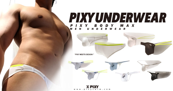 PIXY POUCH BIKINIS UNDERWEAR- SHEER MAX