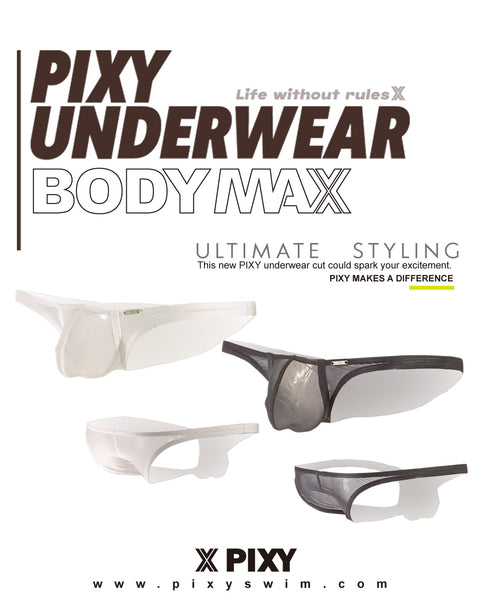 PIXY POUCH BIKINIS UNDERWEAR- SHEER MAX