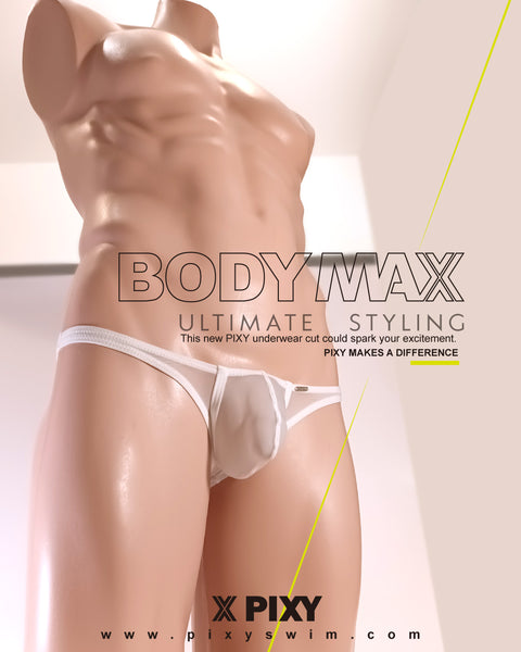PIXY POUCH BIKINIS UNDERWEAR- SHEER MAX