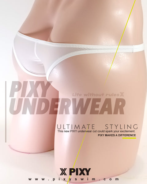 PIXY POUCH BIKINIS UNDERWEAR- SHEER MAX