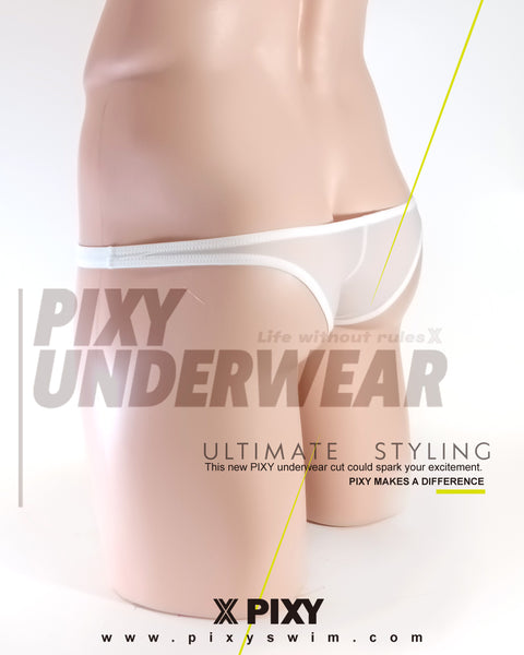 PIXY POUCH BIKINIS UNDERWEAR- SHEER MAX