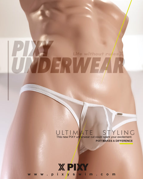 PIXY POUCH BIKINIS UNDERWEAR- SHEER MAX