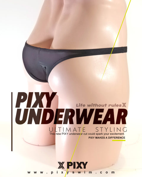 PIXY POUCH BIKINIS UNDERWEAR- SHEER MAX