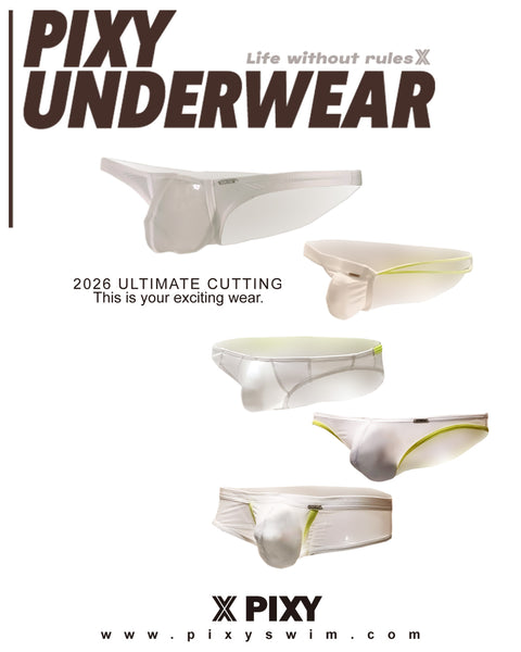 PIXY POUCH BIKINIS UNDERWEAR- SHEER MAX