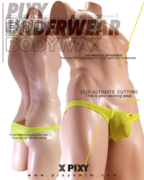 PIXY POUCH BIKINIS UNDERWEAR- SHEER MAX