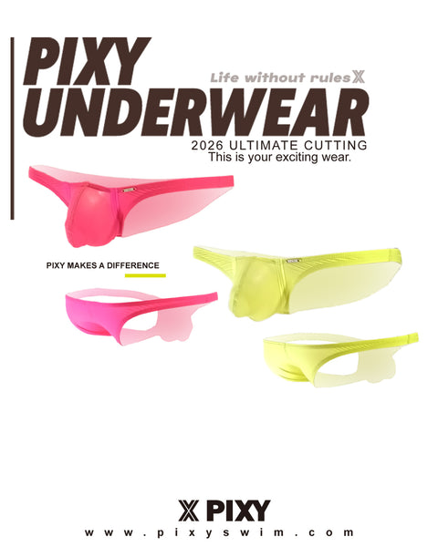 PIXY POUCH BIKINIS UNDERWEAR- SHEER MAX