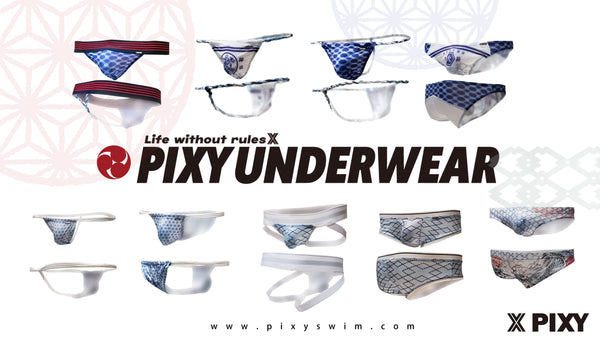 PIXY SHEER BIKINI UNDERWEAR- JAPAN