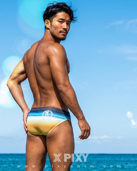 PIXY LOW RISE BIKINI SWIMWEAR-JAPANESE EDITION