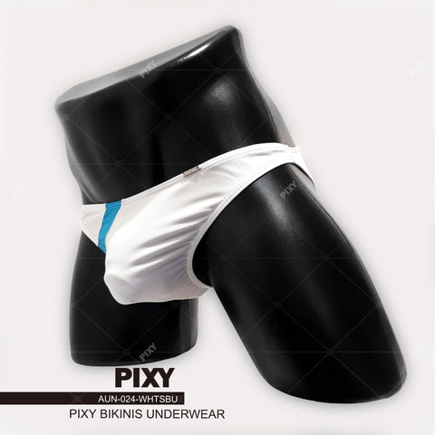 PIXY BASIC MESH TRIMMING BIKINI- UNDERWEAR