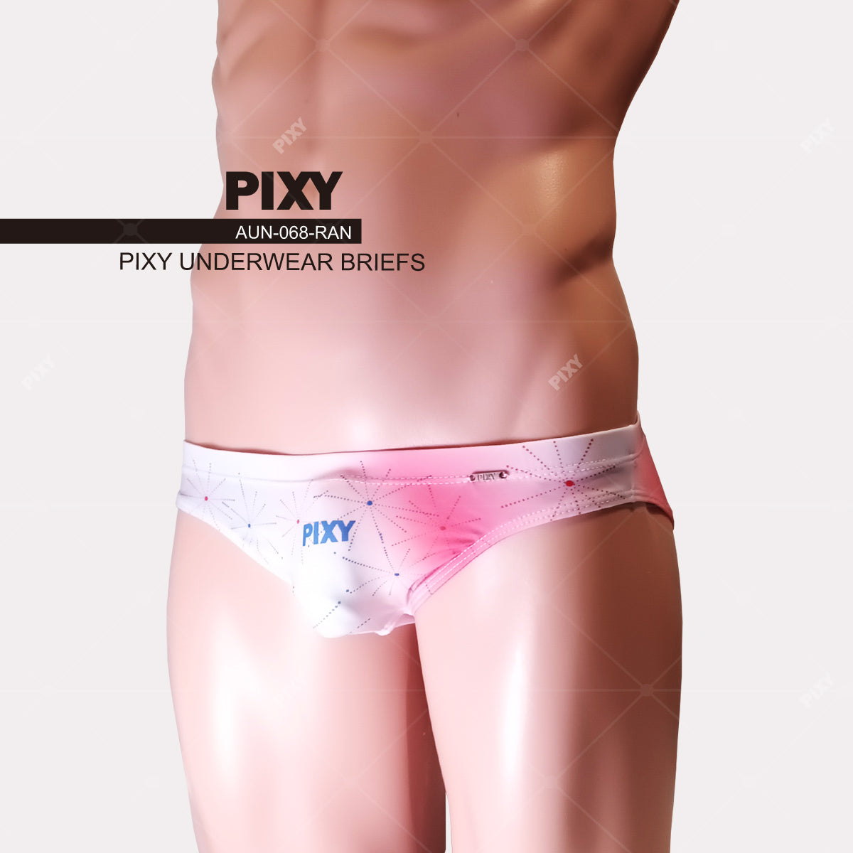 PIXY BRIEFS UNDERWEAR-LIMITED EDITION