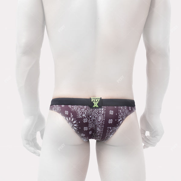 PIXY POUCH MAX LOW RISE SWIM BRIEFS-PAISLEY