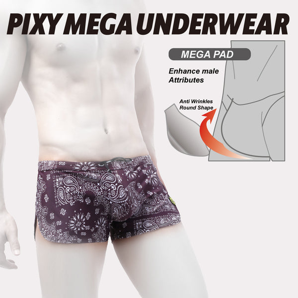 PIXY SWIM & GYM SHORTS-PAISLEY